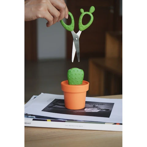 Qualy Cactus Scissors - Orange/Green