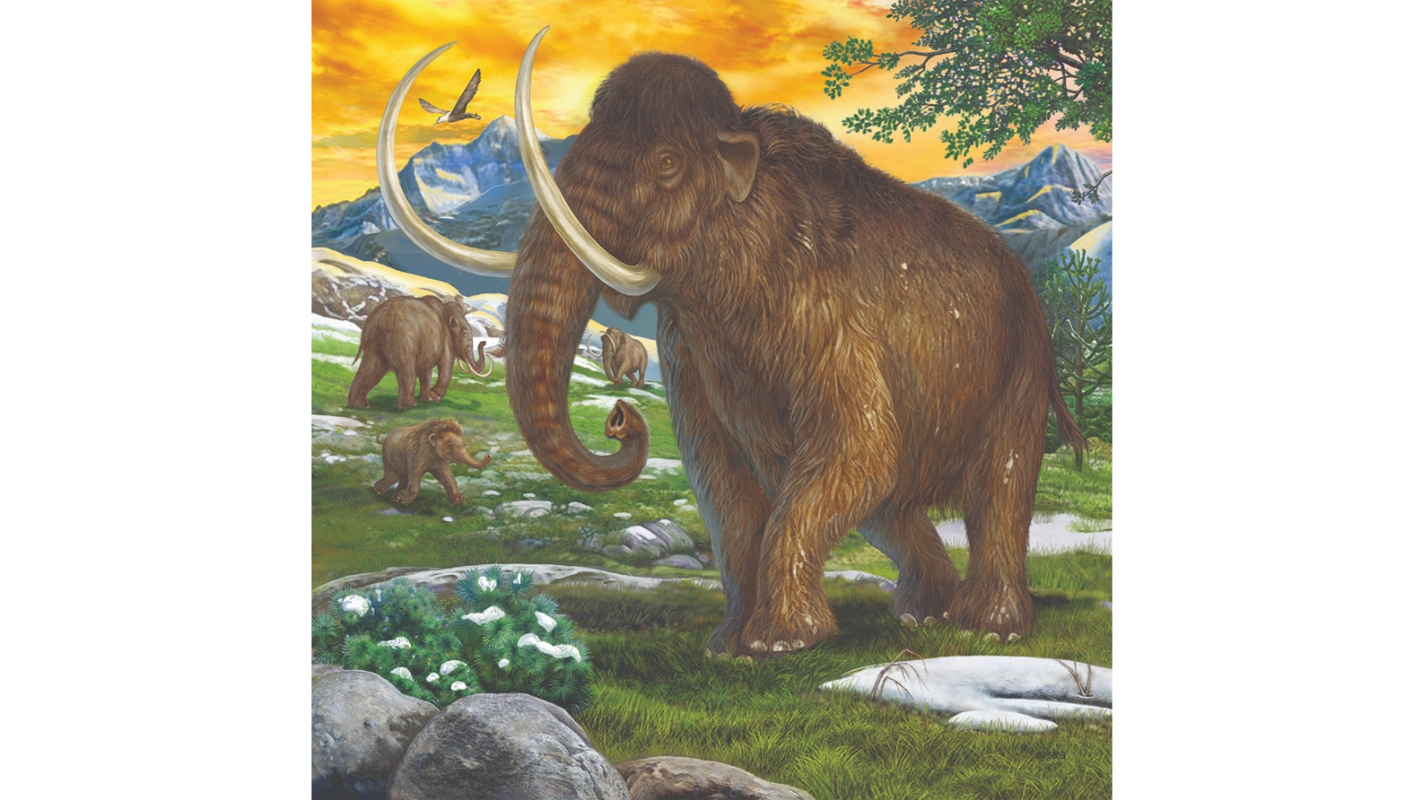 Ravensburger Primeval Ruler 3x49 Piece Puzzle Pack | Harvey Norman