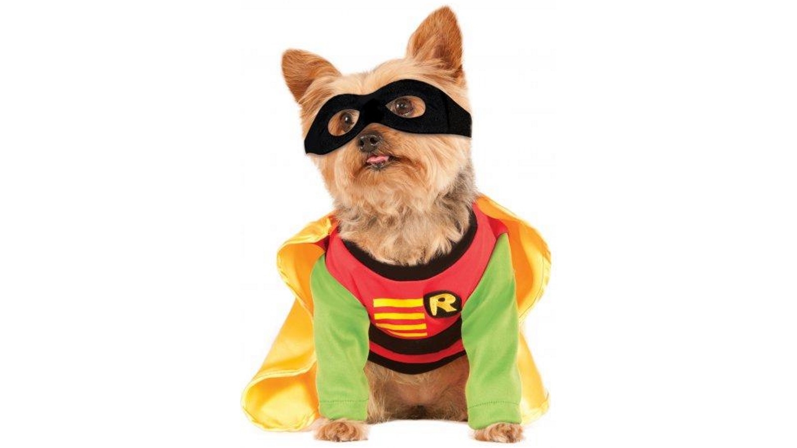 Robin Dog Robin Pet Costume | Harvey Norman