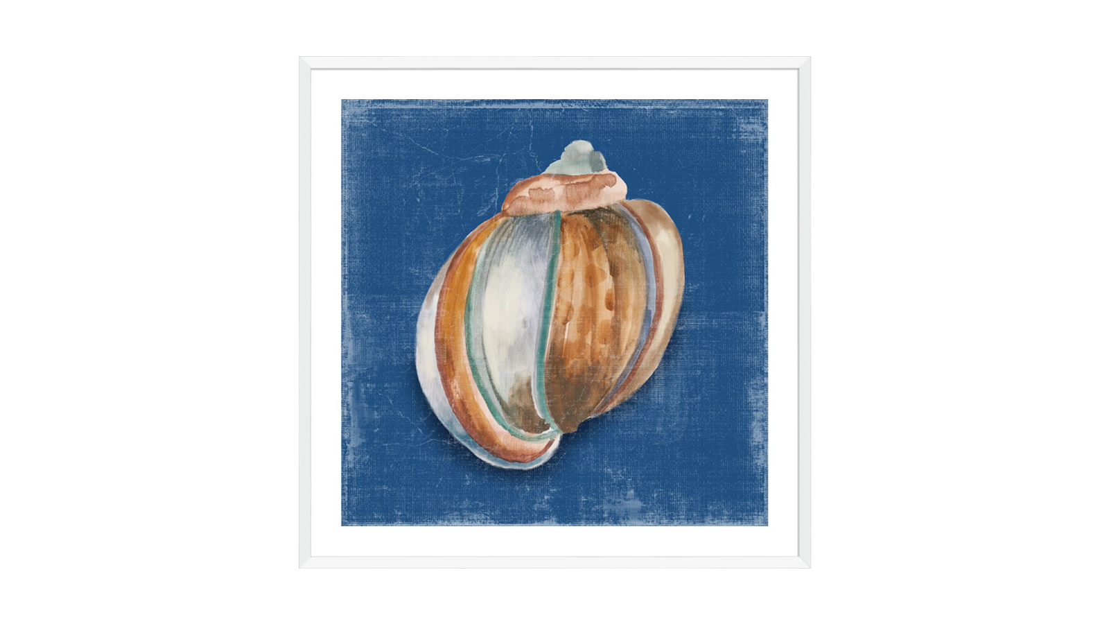 La Grolla Rosecliff Shell II White Frame Wall Art - 94 x 94cm