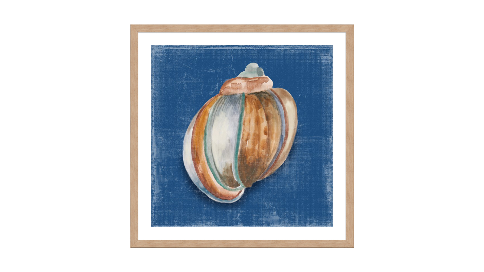 La Grolla Rosecliff Shell II Natural Frame Wall Art - 76 x 76cm