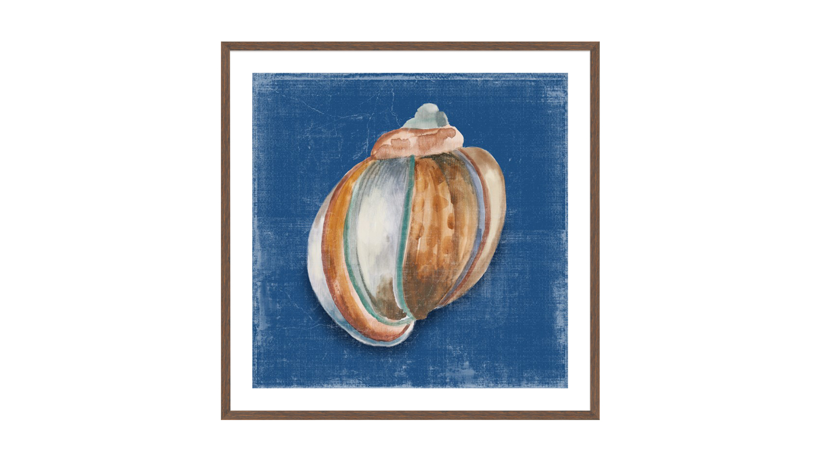 La Grolla Rosecliff Shell II Walnut Frame Wall Art - 54 x 54cm