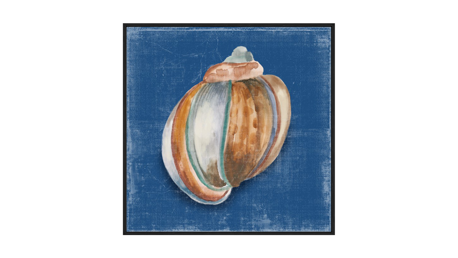La Grolla Rosecliff Shell II Black Gallery Wall Art - 103 x 103cm