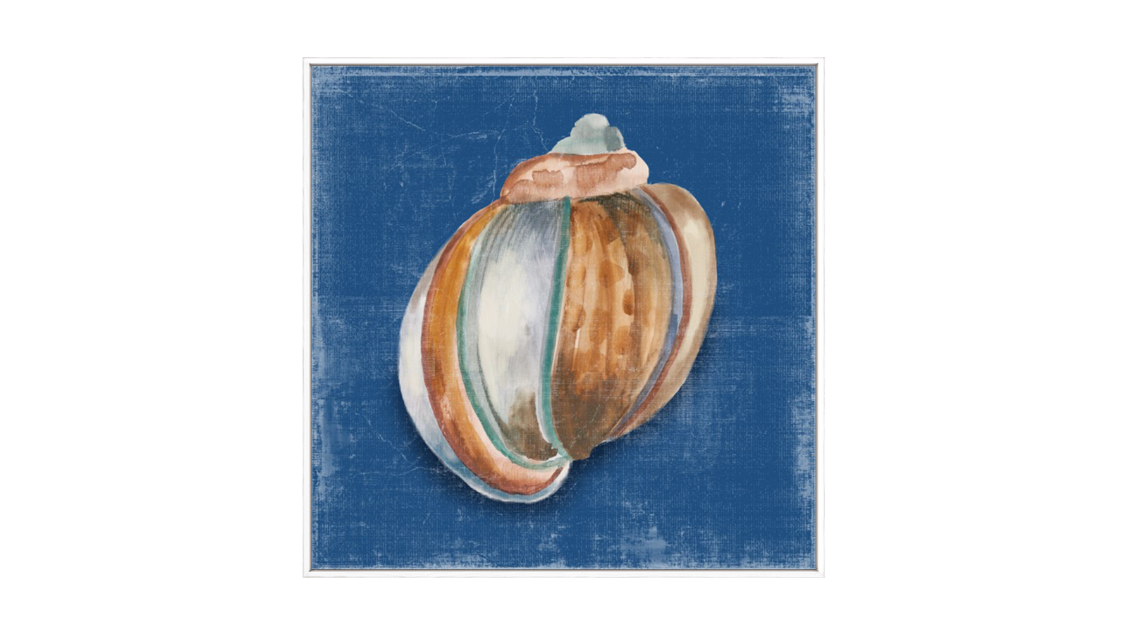 La Grolla Rosecliff Shell II White Gallery Wall Art - 123 x 123cm