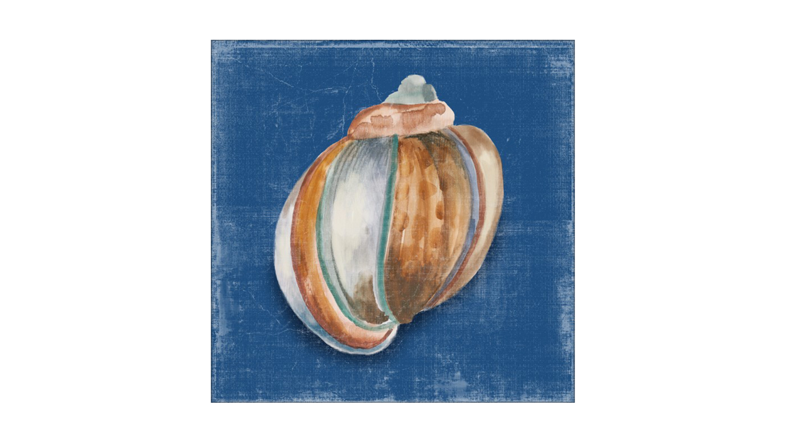 La Grolla Rosecliff Shell II Unframed Canvas Wall Art - 64 x 64cm