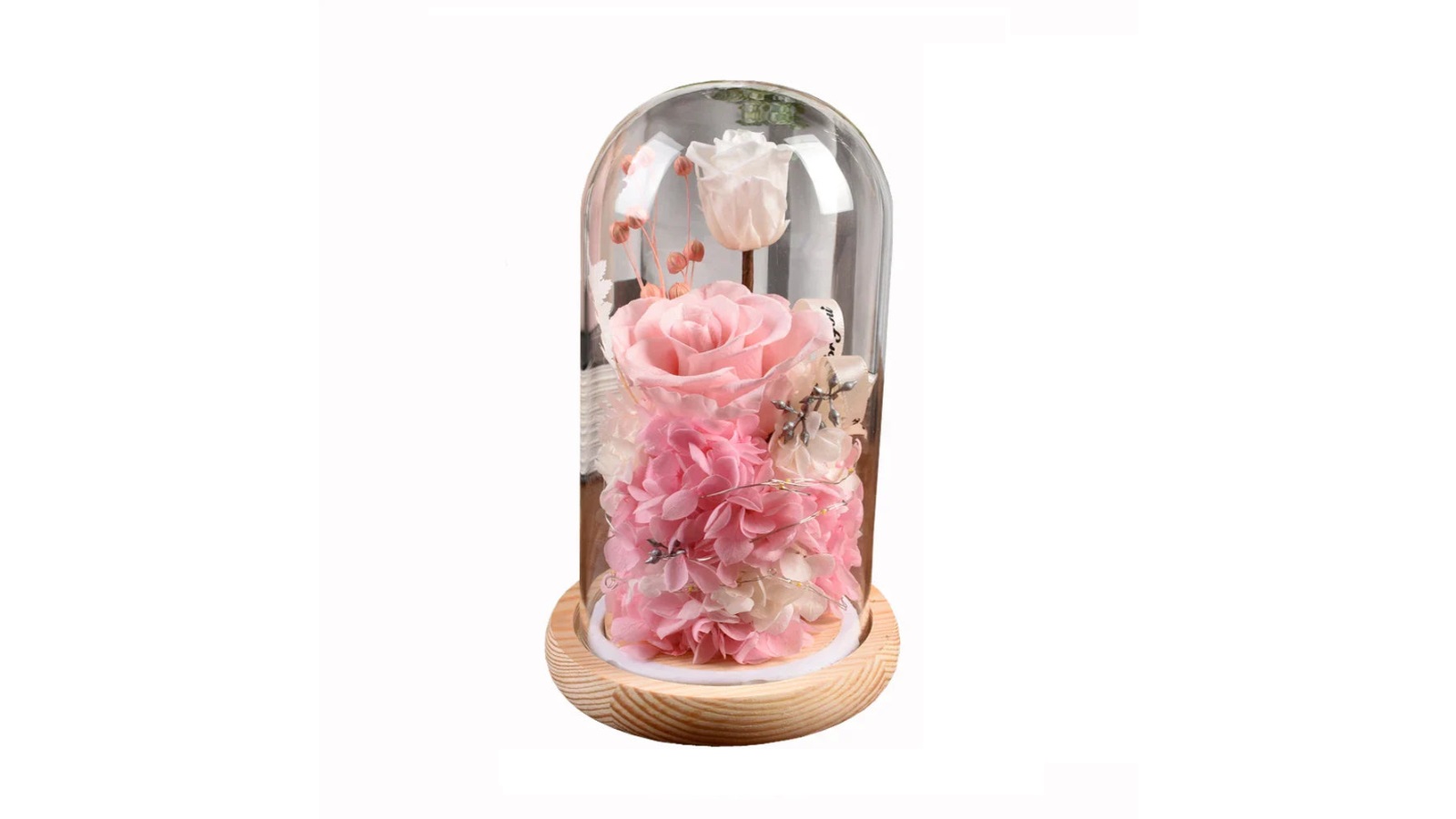 NNEOBA Rose in Glass Dome Valentines Mothers Birthday Gift