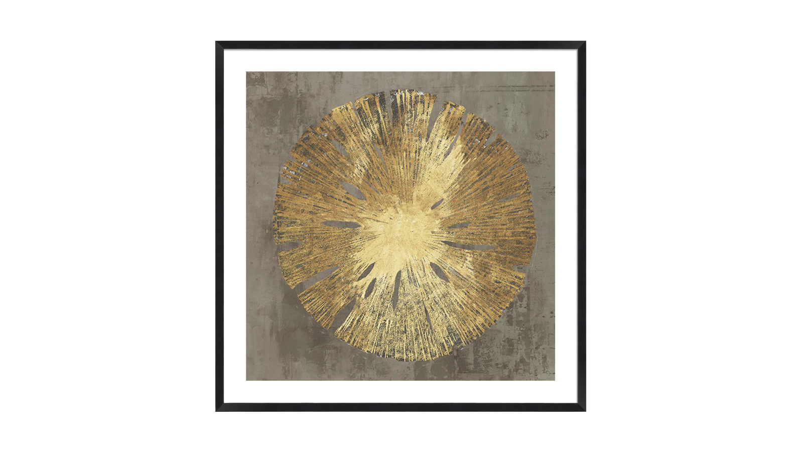 La Grolla Sand Dollar II Black Frame Wall Art - 94 x 94cm