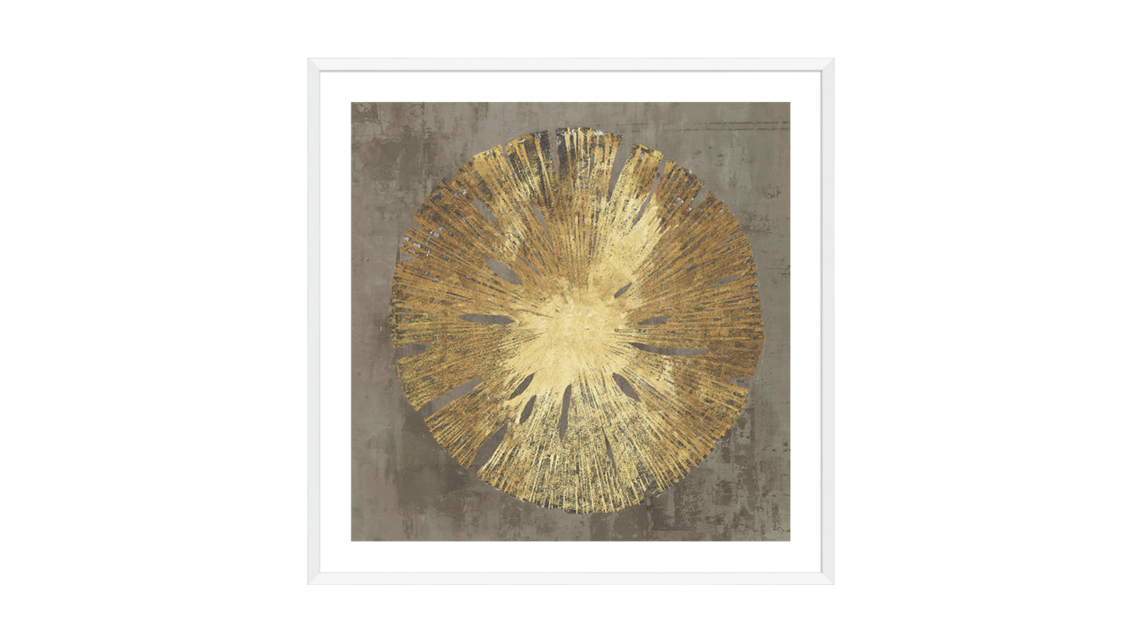 La Grolla Sand Dollar II White Frame Wall Art - 94 x 94cm