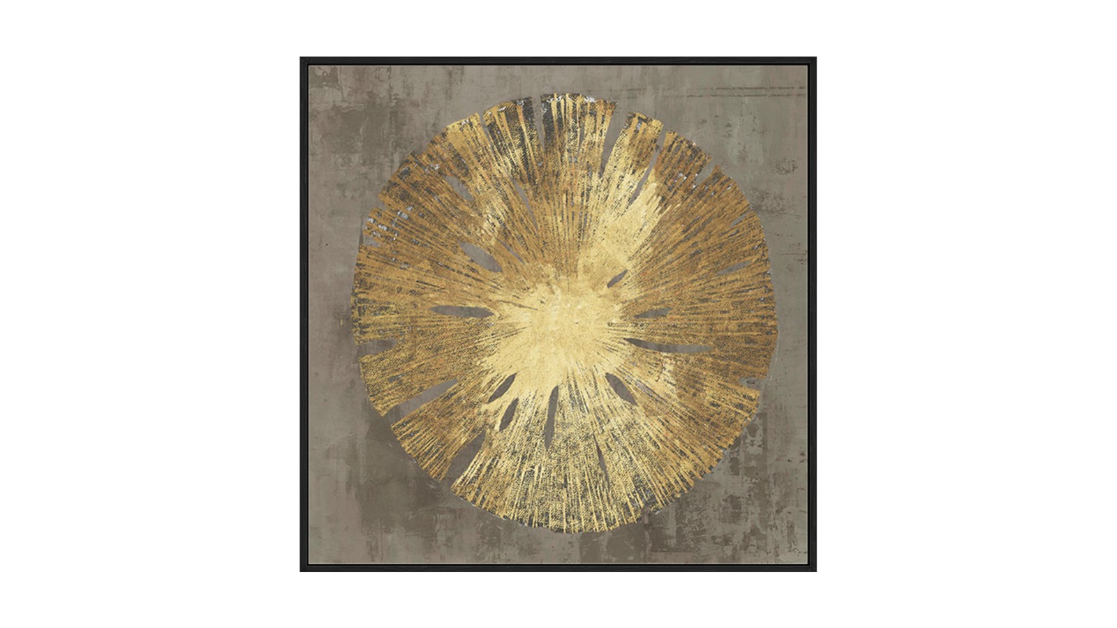 La Grolla Sand Dollar II Black Gallery Wall Art - 67 x 67cm