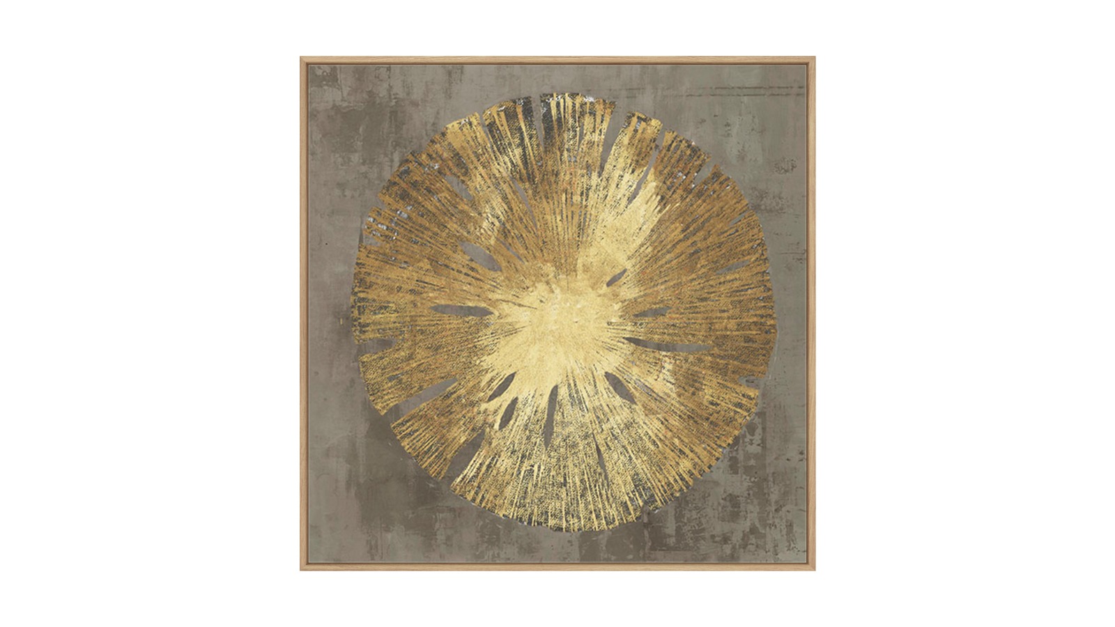 La Grolla Sand Dollar II Natural Gallery Wall Art - 123 x 123cm