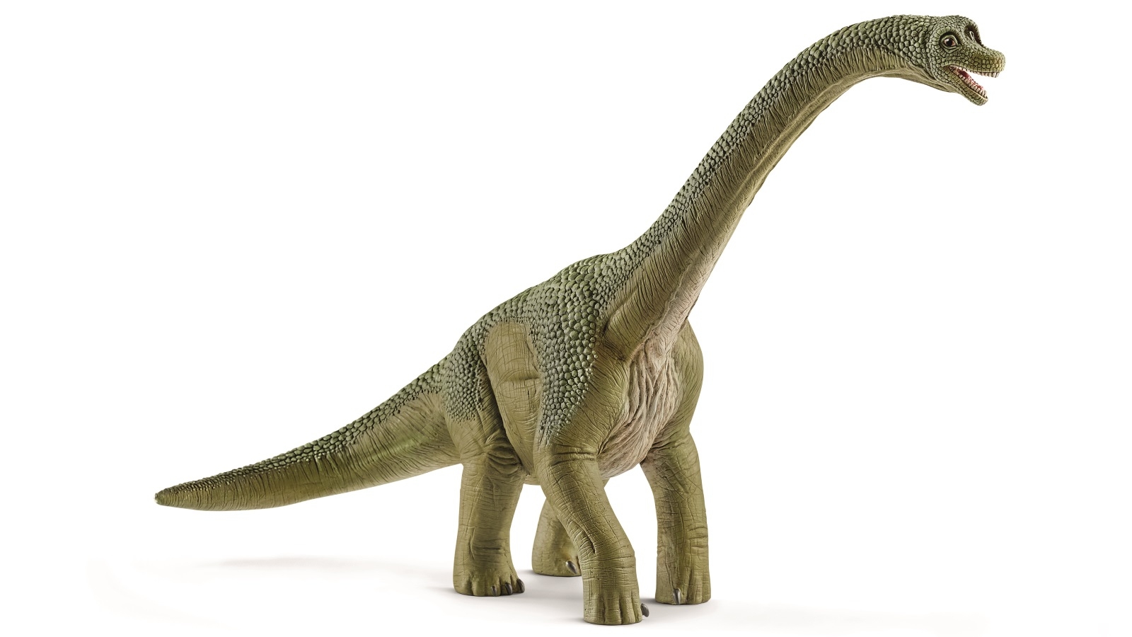 Schleich Brachiosaurus Toy Figure