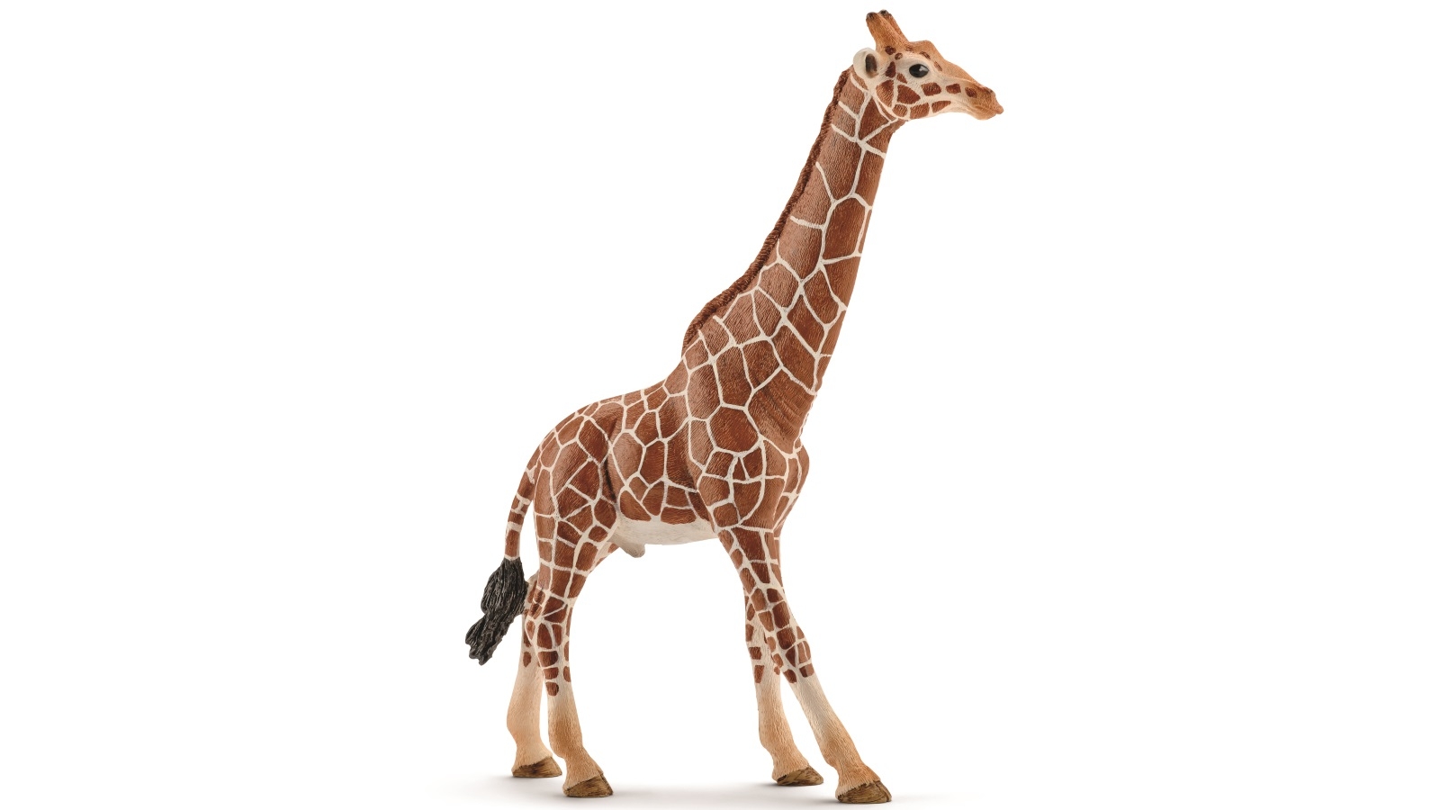 Schleich Giraffe - Male