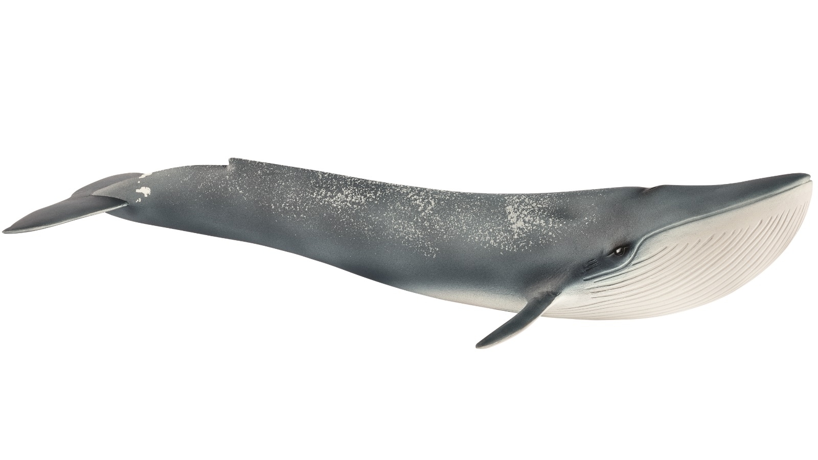 Schleich Blue Whale