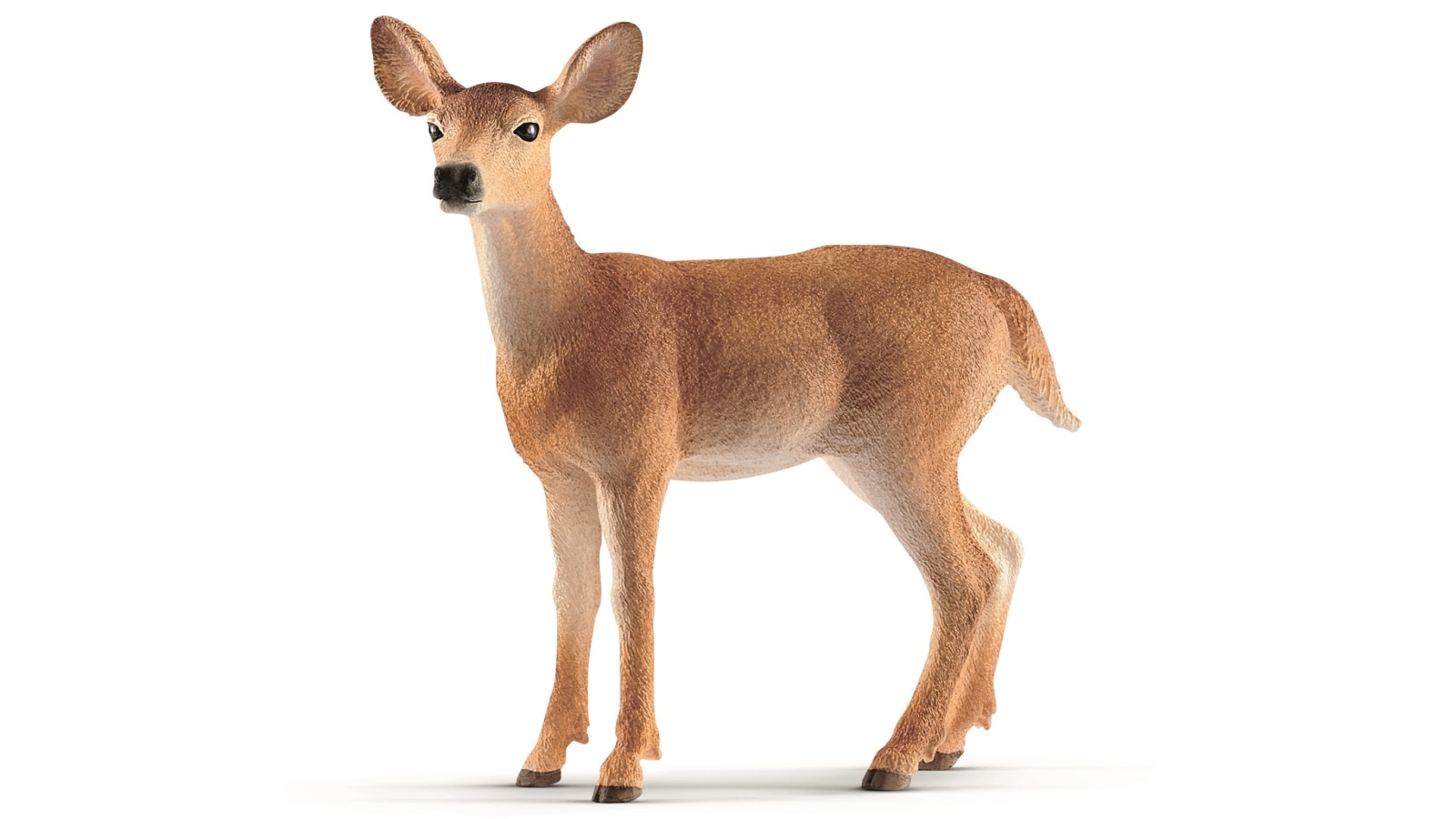 Schleich White Tailed Doe