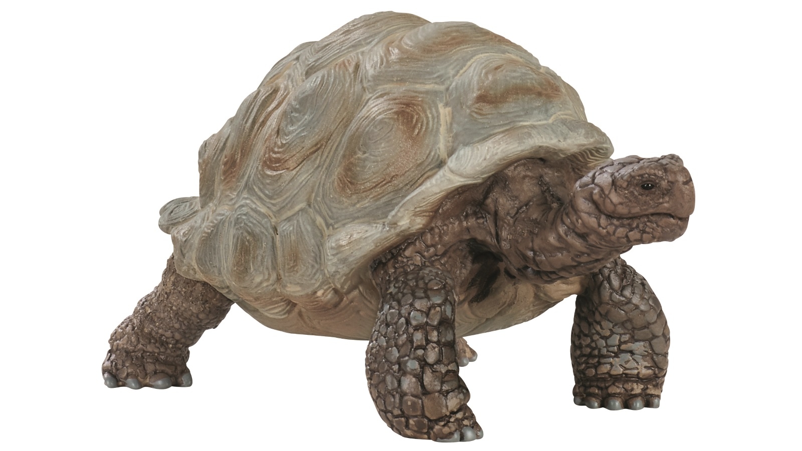 Schleich Giant Tortoise