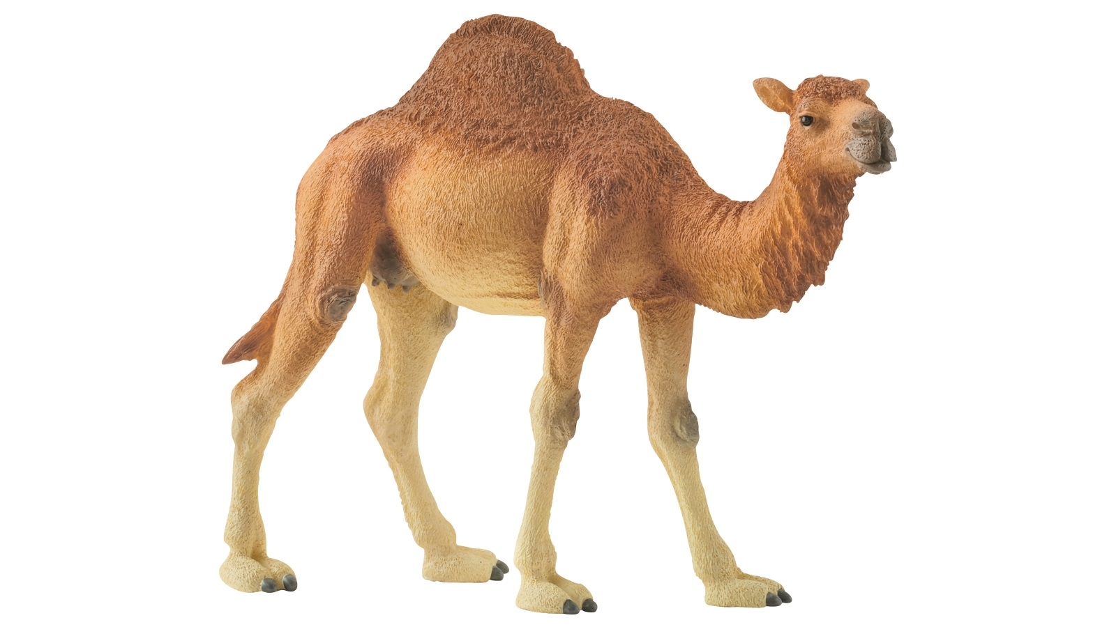 Schleich Dromedary