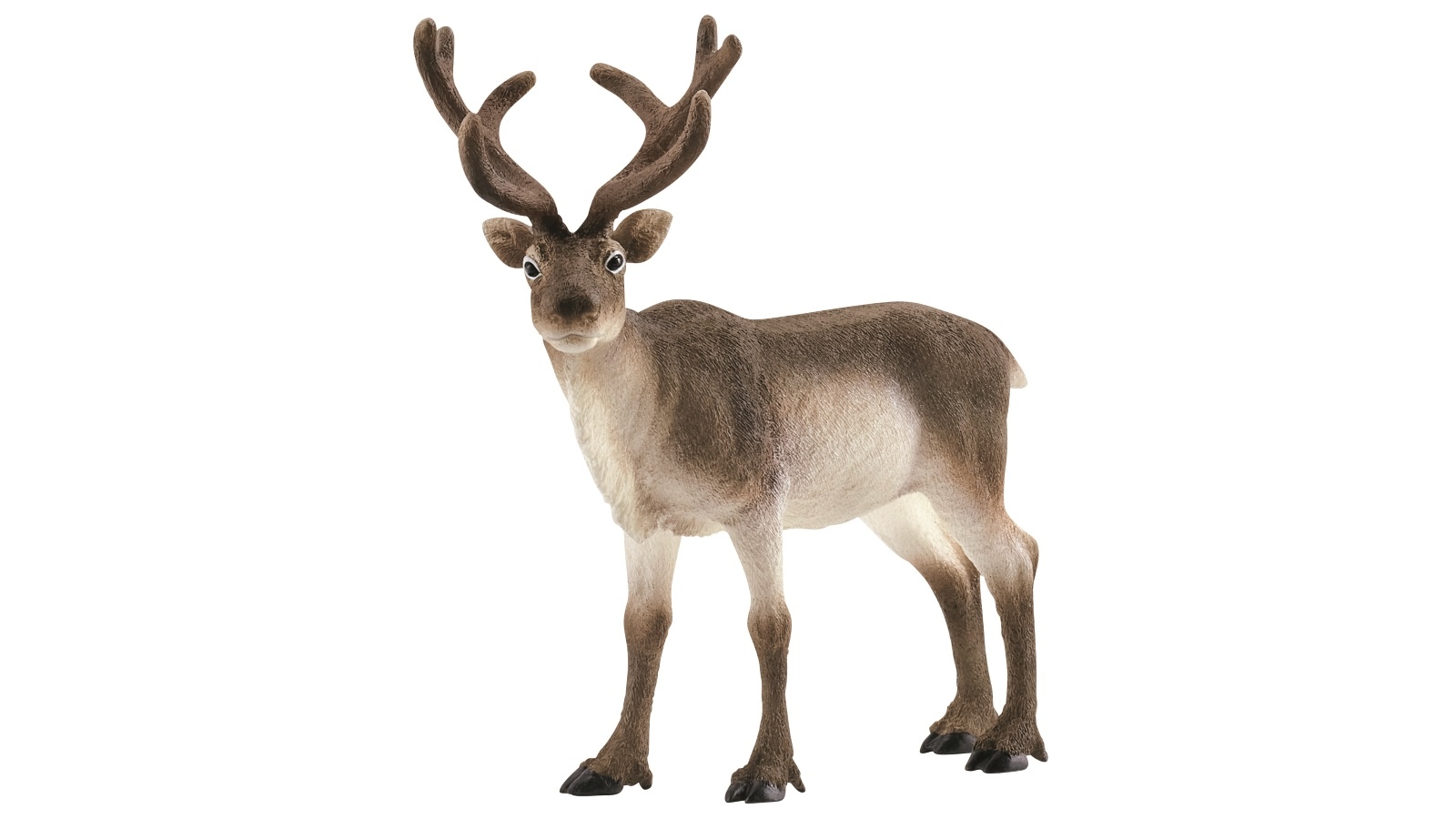 Schleich Reindeer