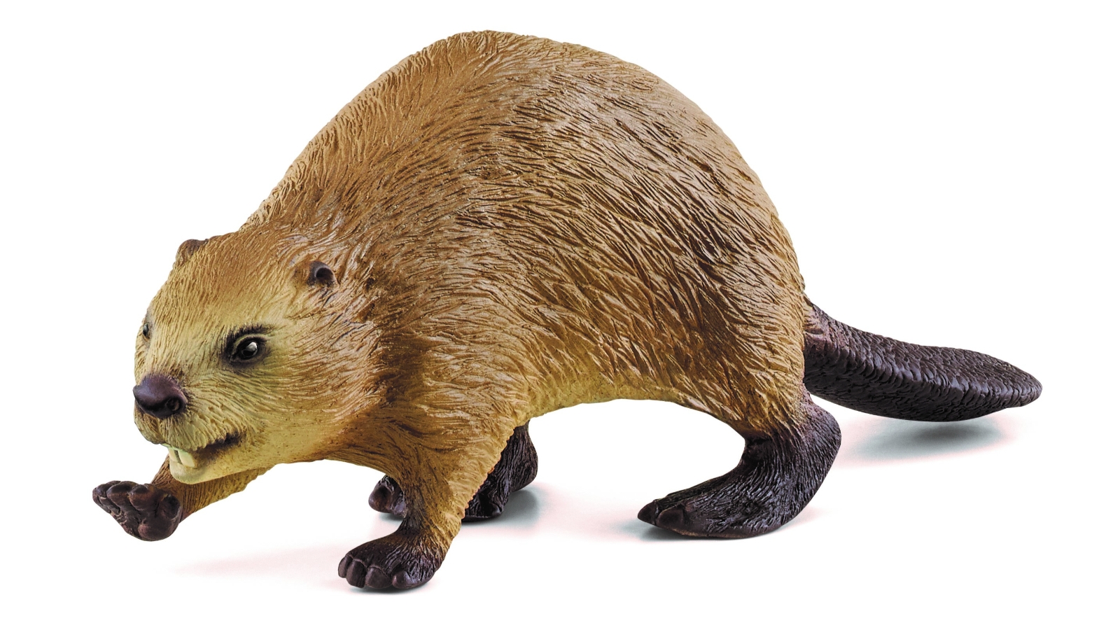 Schleich Beaver
