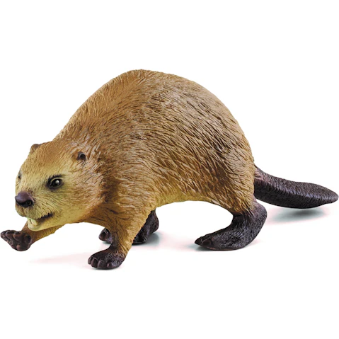 Schleich Beaver