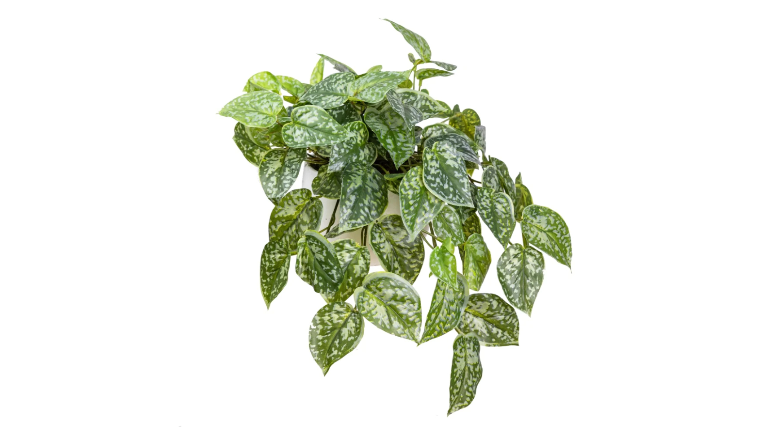 Glamorous Fusion Scindapsus Artificial Plant in Pot - 25cm