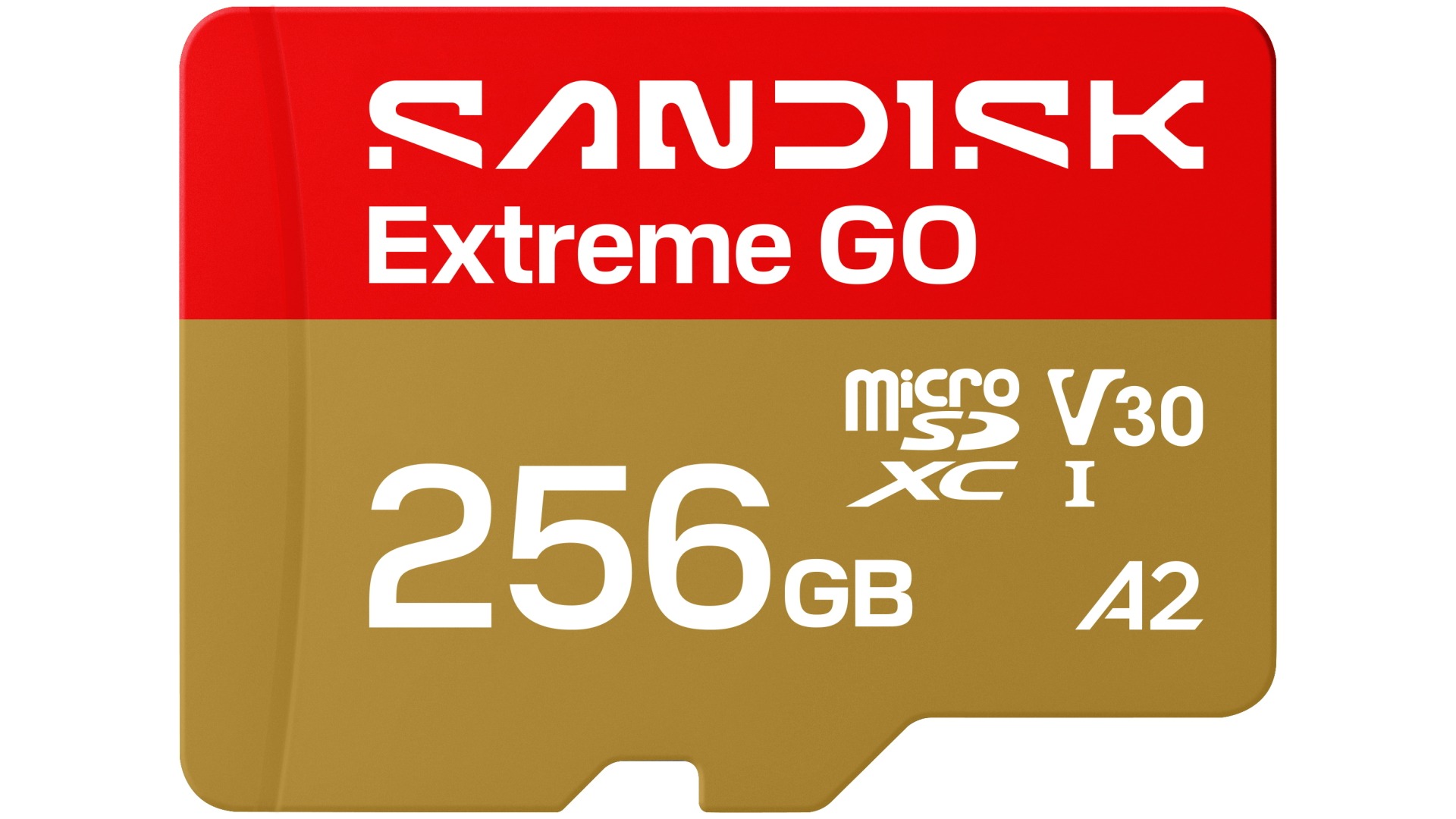 SanDisk Extreme GO 256GB microSD UHS-I Memory Card