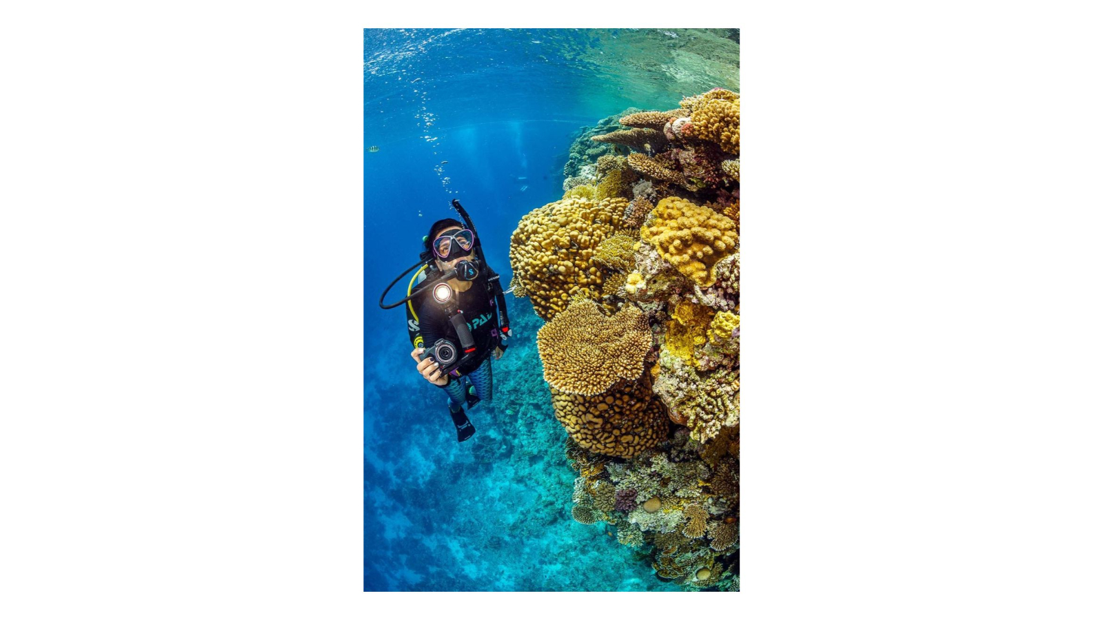 SeaLife Micro 3.0 Limited Edition Explorer Gift Set Underwater Camera