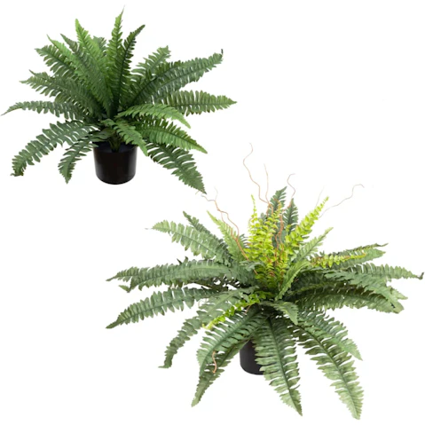 Glamorous Fusion Set of 2 Boston Fern Artificial Plant in Pot - Green