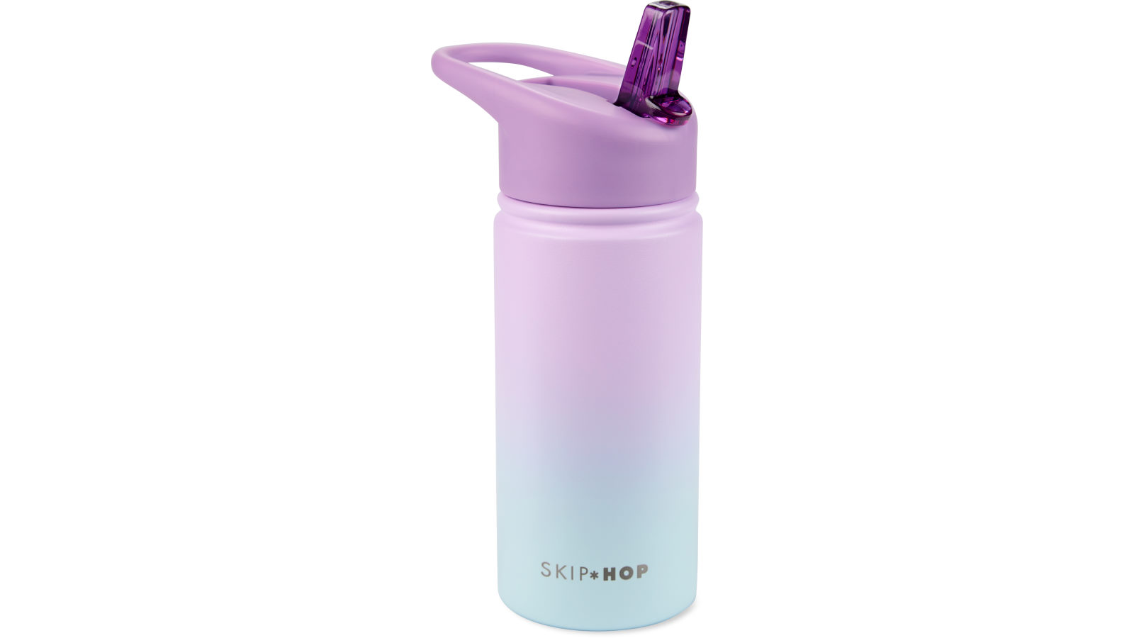 Wander Stainless Steel Water Bottle - Ombre Purple