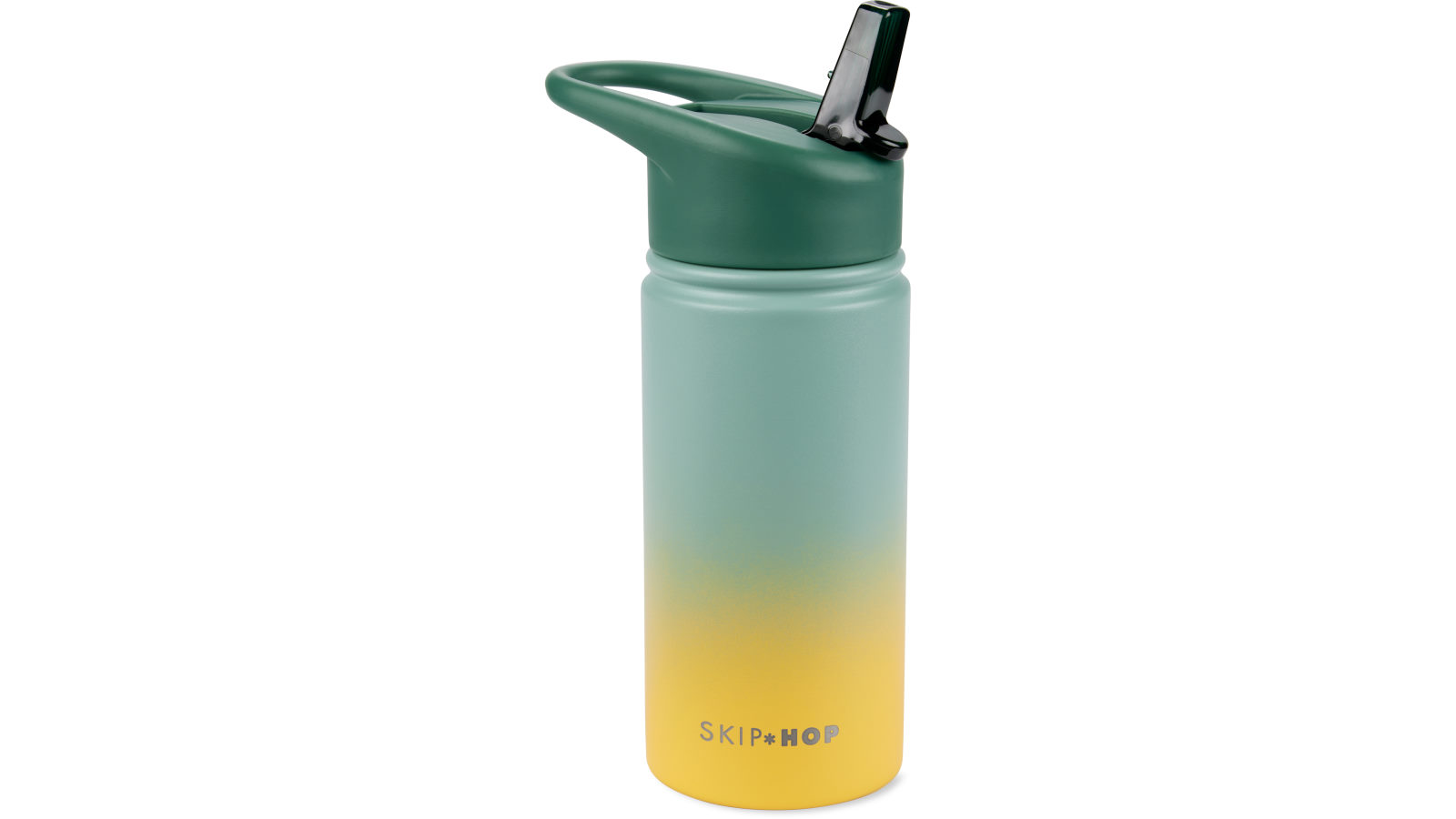 Wander Stainless Steel Water Bottle - Ombre Green