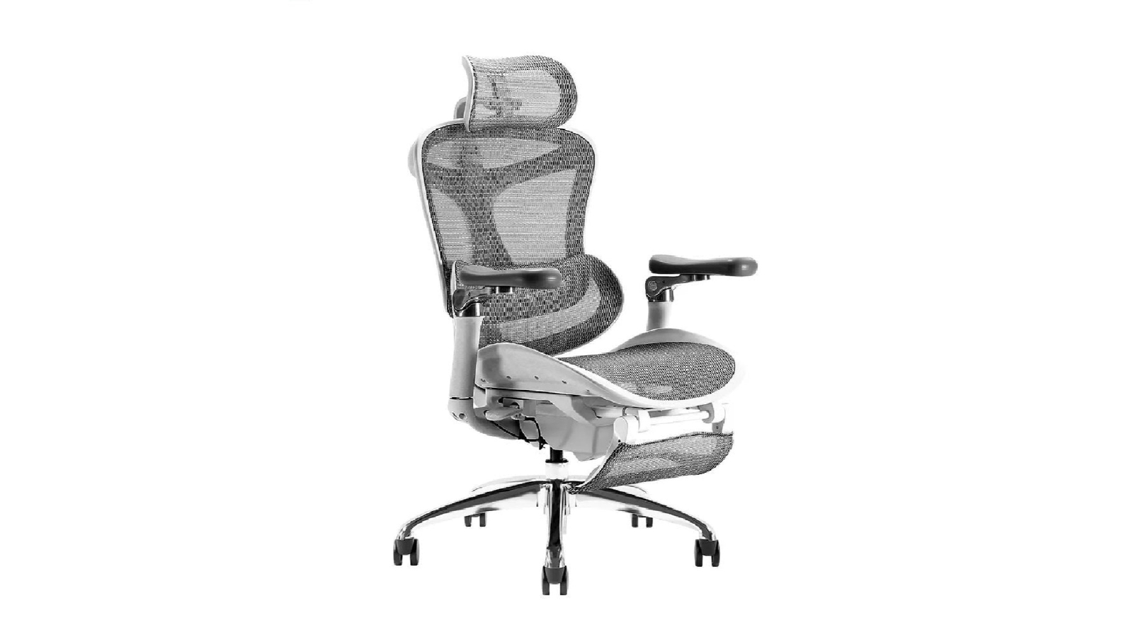 Sihoo Australia A3 DORO-C300 Pro Ergonomic Office Chair with