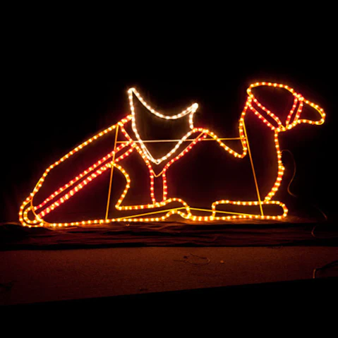 Hisen 3Wise Men's Sitting Camel Motif Nativity LED Christmas Rope Light