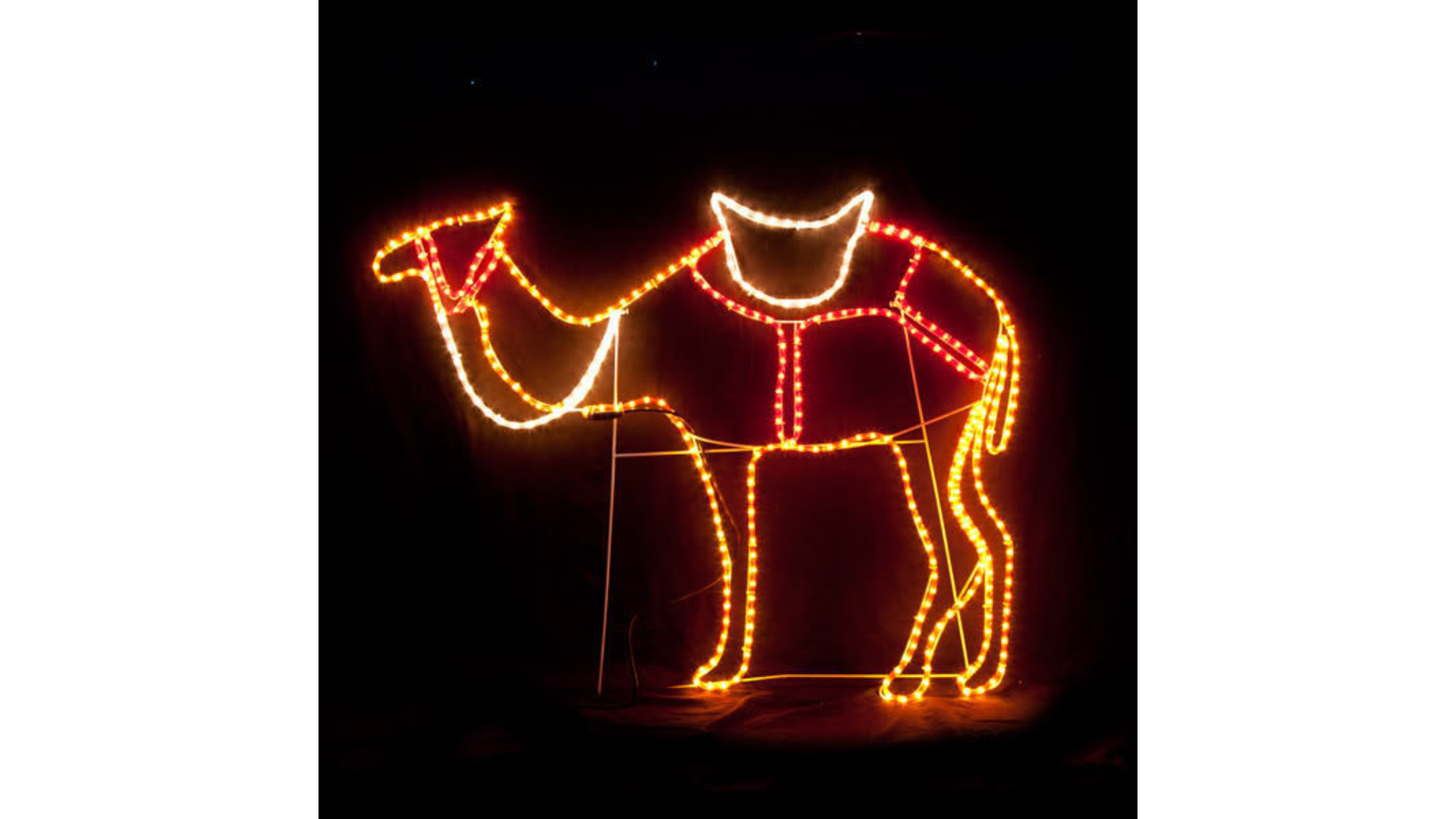 Hisen Wise Men's Camel LED Christmas Motif Rope Light Nativity