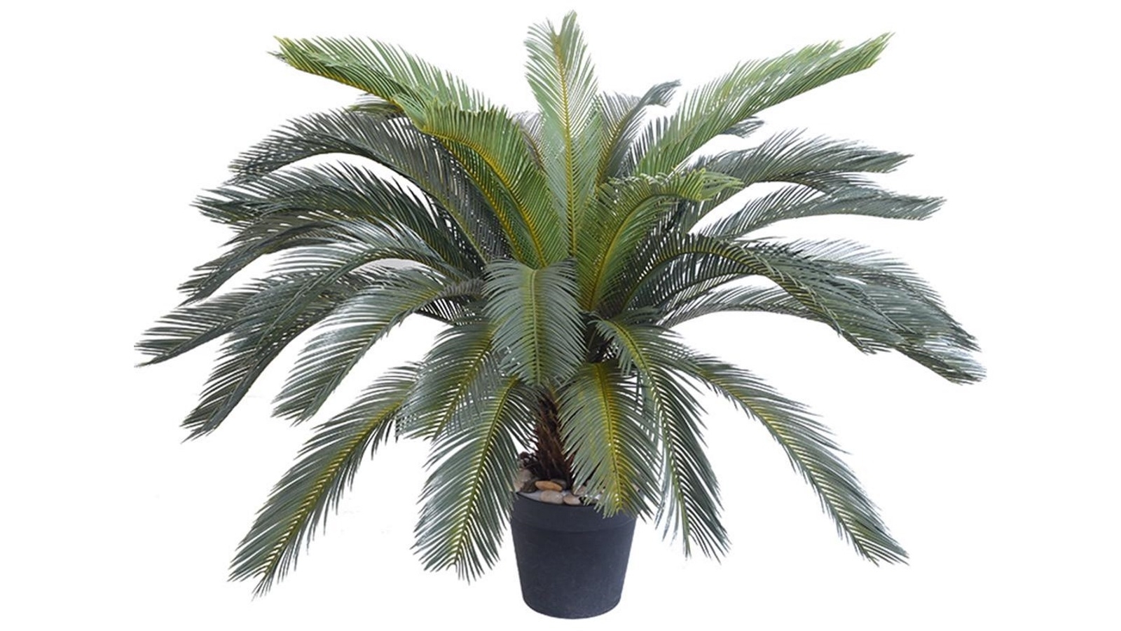 SOGA Artificial Sago Palm Plant