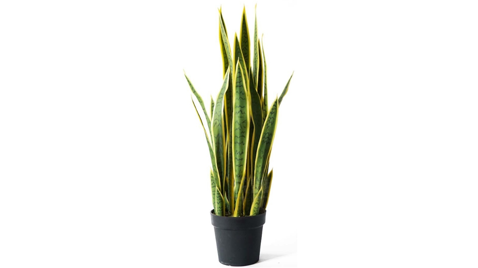 SOGA Artificial Yellow Snake Plant