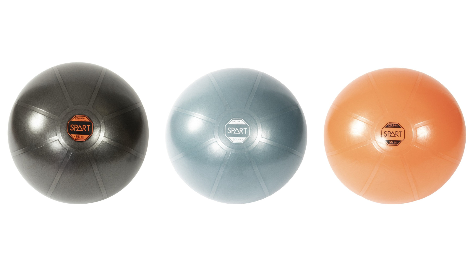 SPART 65cm Pro Exercise Ball