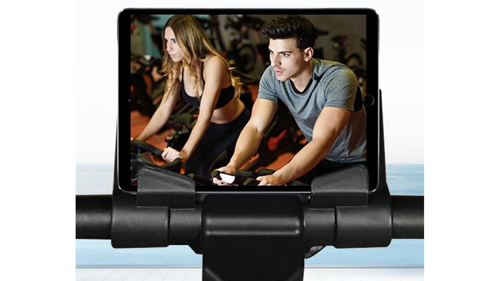 norflex spin bike spx 300