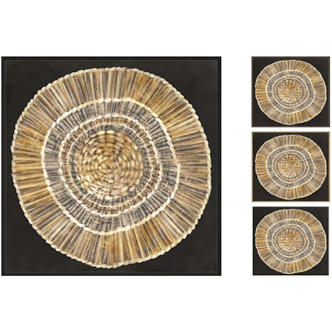 La Grolla Straw Woven Plate Gallery Wall Art