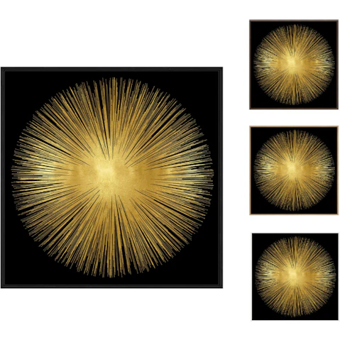 La Grolla Sunburst on Black I Gallery Wall Art