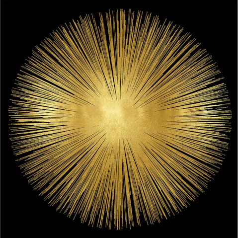 La Grolla Sunburst on Black I Unframed Canvas Wall Art