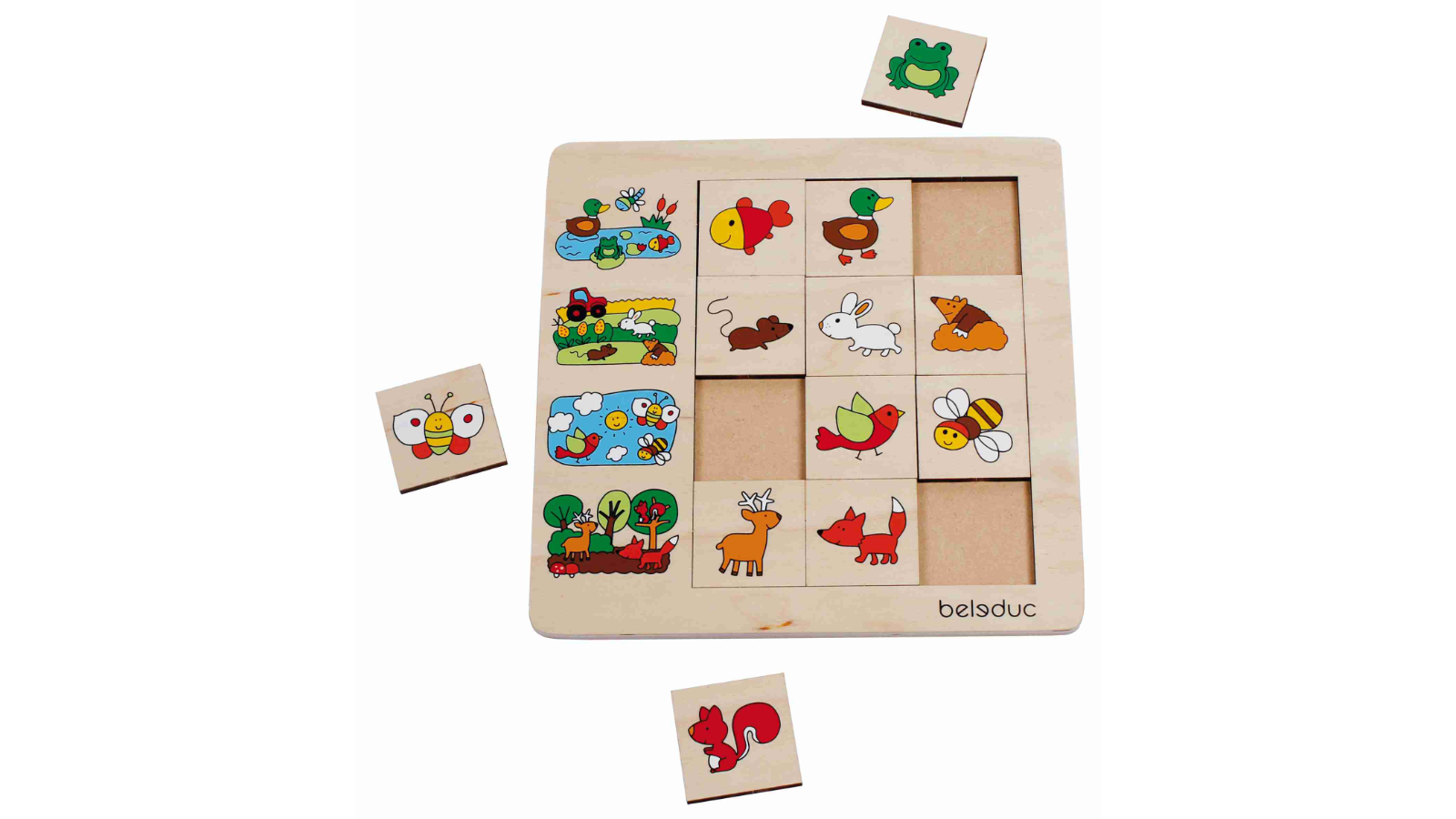 Beleduc Sorting Game Puzzle - Environment
