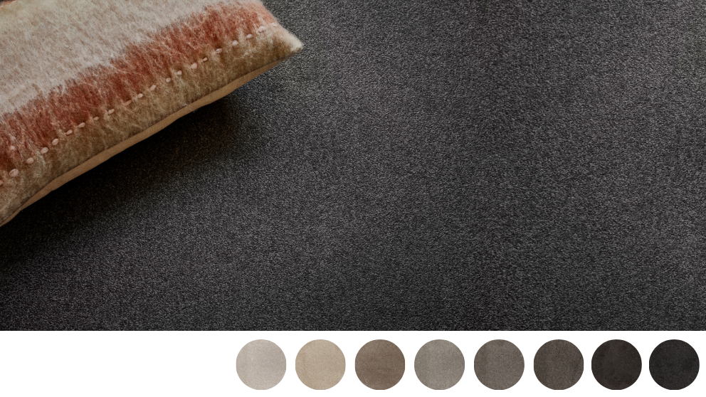 Stain Defence Essentials Tampa Bay Carpet