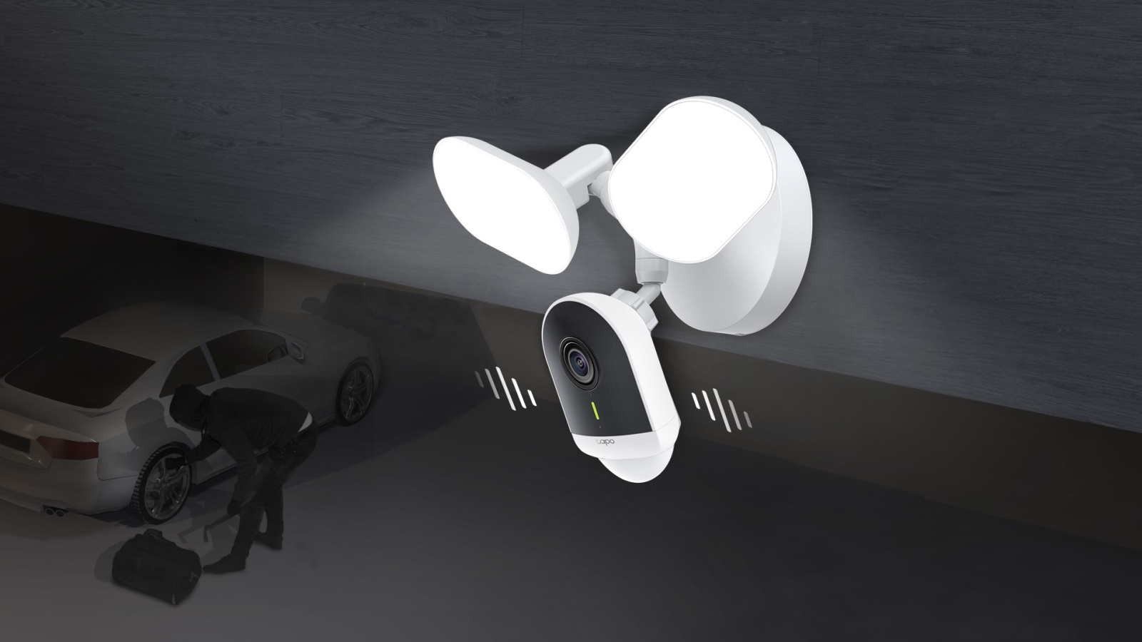 Google Assistant Kuna Ok Google Turn My Light On TP-Link Tapo C720