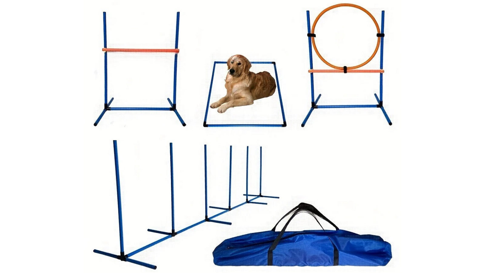 NNETM Dog Agility Training Set for Home and Pro Use