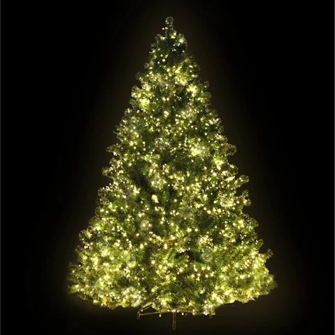 Jingle Jollys Christmas Tree 210cm with 3000 LED Warm White
