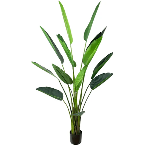 Glamorous Fusion Green Traveller Palm Tree Artificial Plant in Pot - 185cm