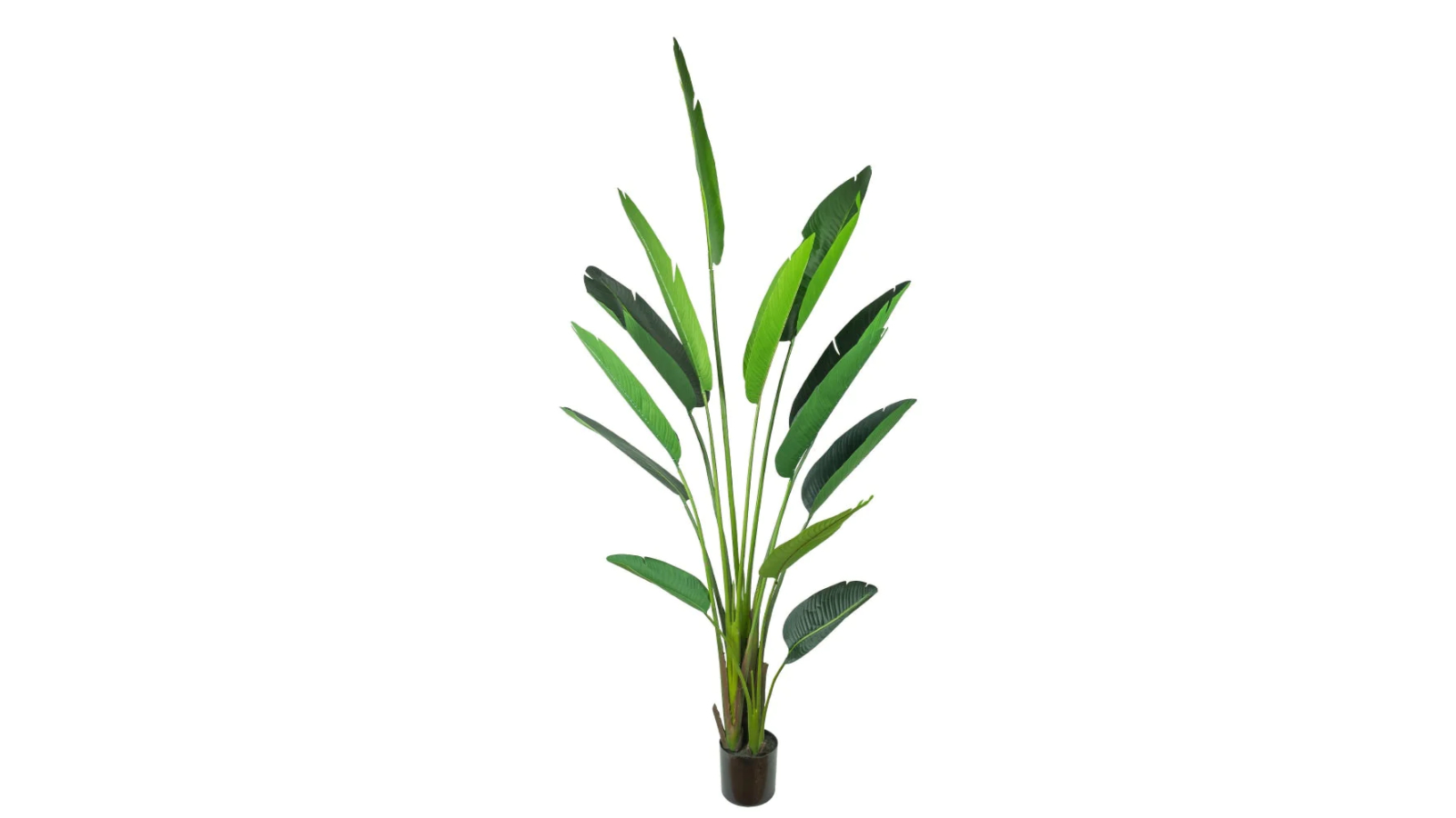 Glamorous Fusion Green Traveller Palm Tree Artificial Plant in Pot - 240cm