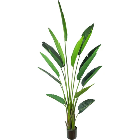 Glamorous Fusion Green Traveller Palm Tree Artificial Plant in Pot - 240cm