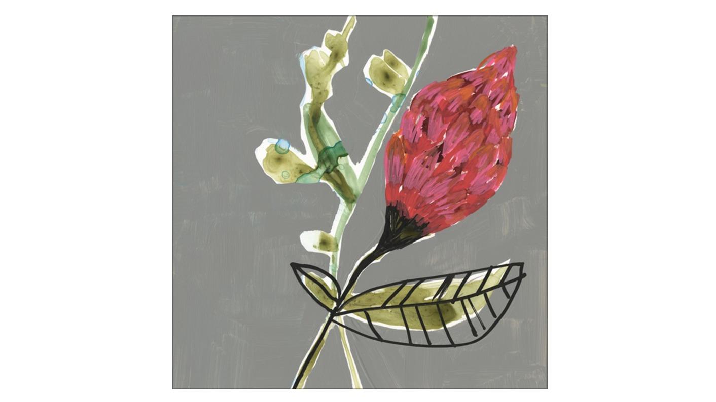 La Grolla Tropic Botanicals VII Stretched Canvas Wall Art
