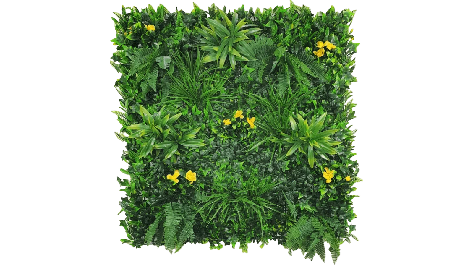 Designer Plants UV Resistant Yellow Rose Vertical Garden