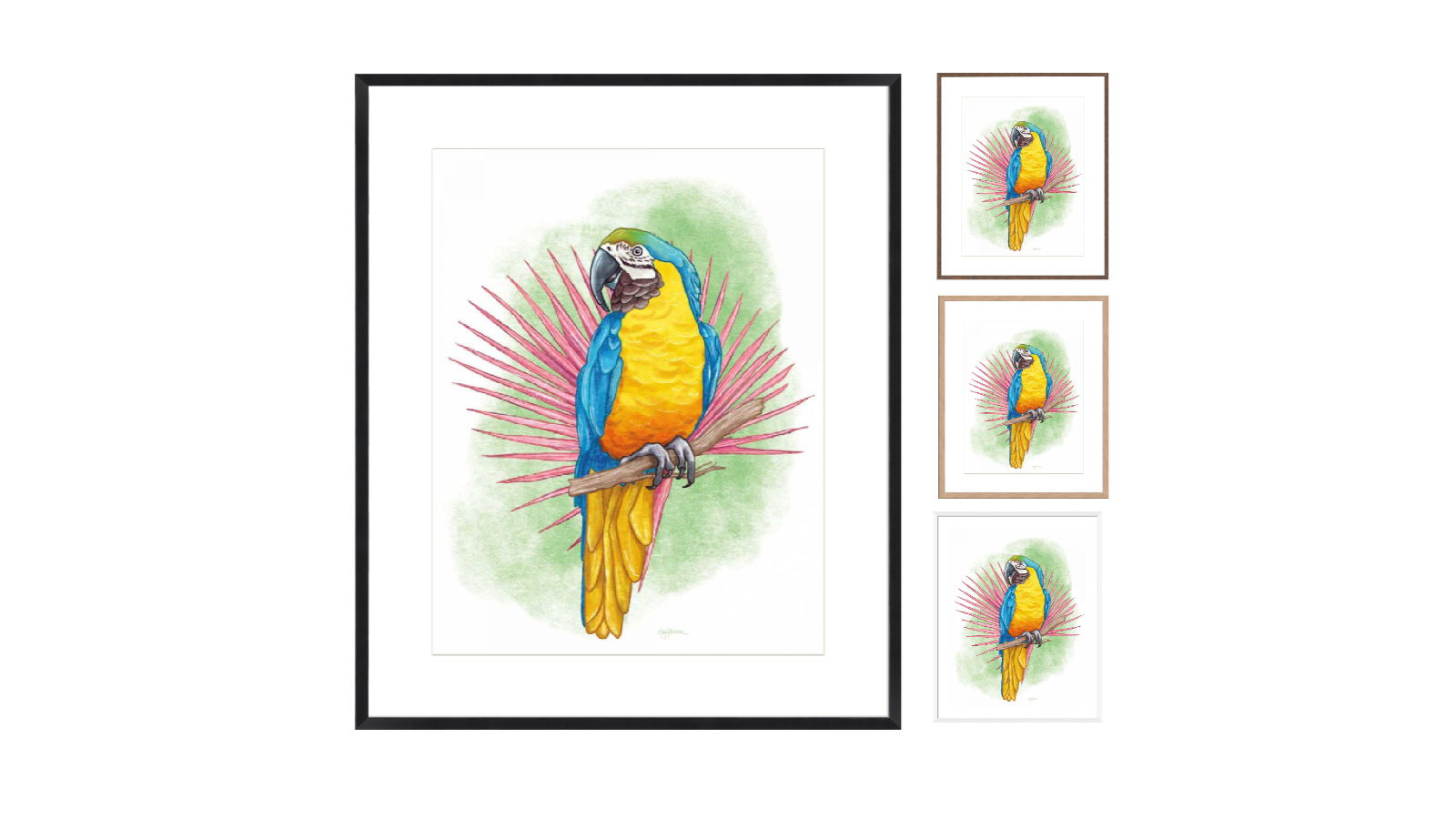 La Grolla Tropical Flair I Frame Wall Art
